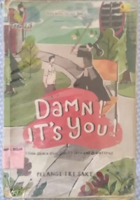 Image of Damn It's You !